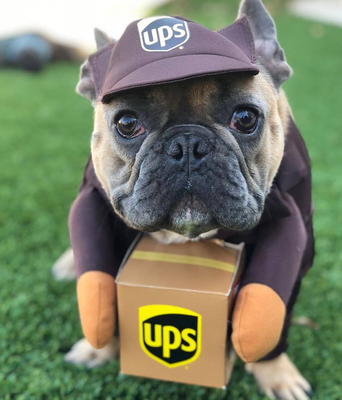 Rollenspielkostüme für Haustiere, UPS-Kurier-Serie, bequem zu tragen, mit Persönlichkeit