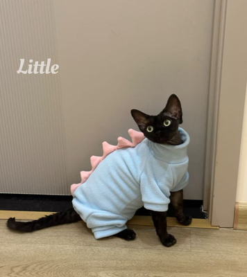 Einzigartige PET-Kleidung für Ihr besonderes Ereignis, angepasst von unserem erfahrenen Team.