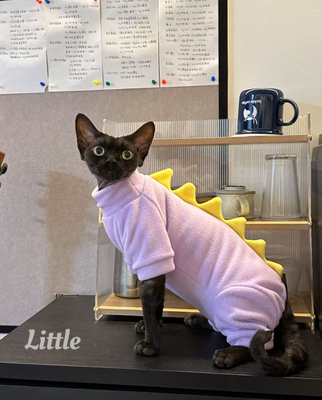 Einzigartige PET-Kleidung für Ihr besonderes Ereignis, angepasst von unserem erfahrenen Team.